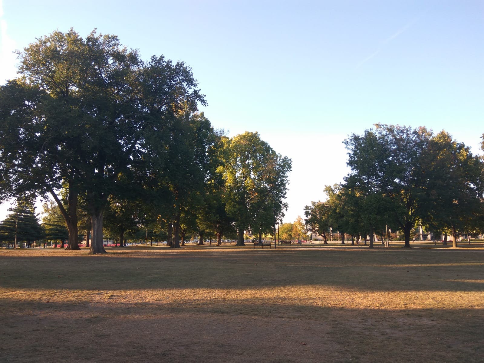Very few people in the park, fewer trees
